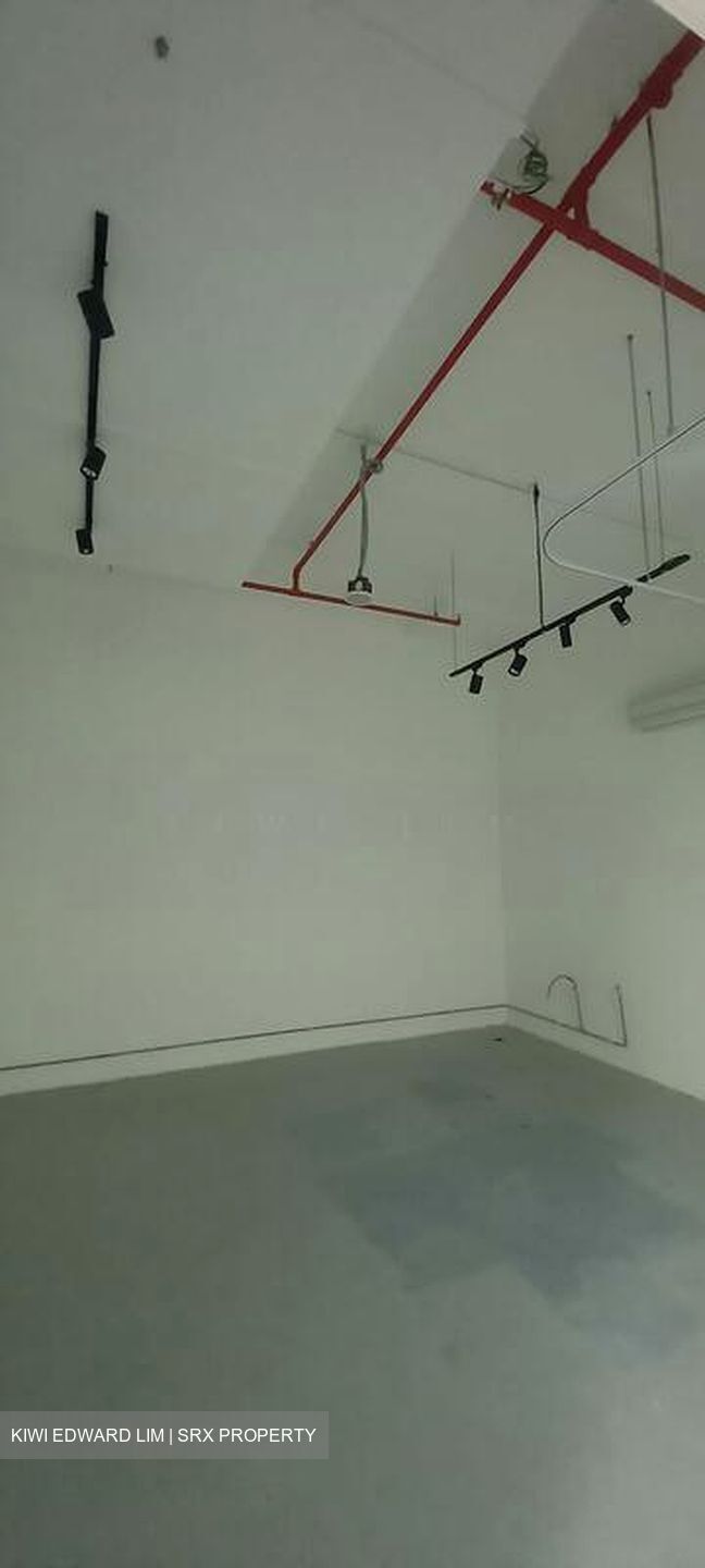 The Promenade@Pelikat (D19), Shop House #506691751